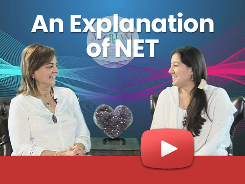 An Explanation of NET